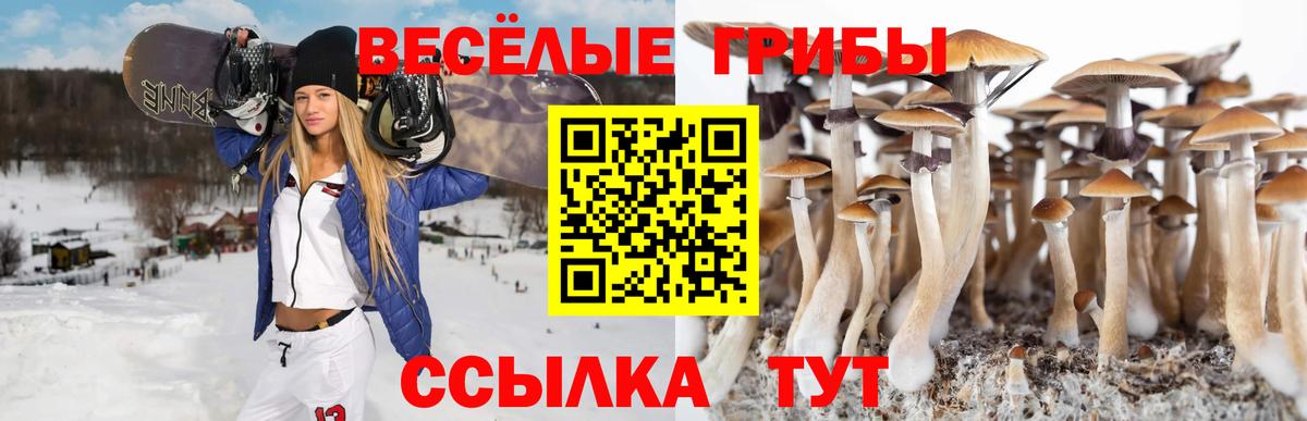 Галлюциногенные грибы Magic Shrooms  Вход с VPN  Кохма 