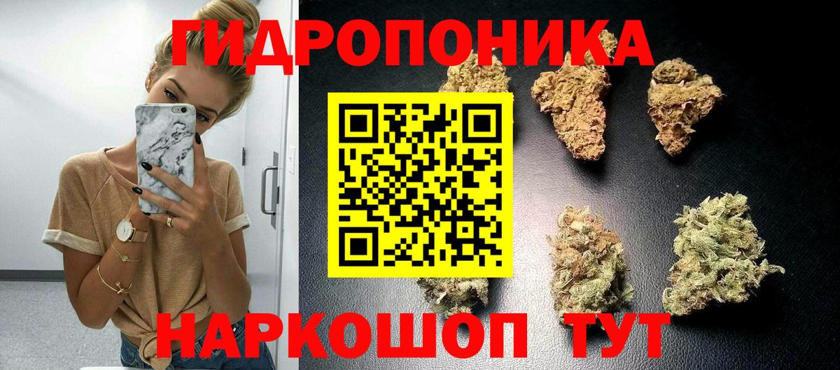 Канабис MAZAR  Марихуана сатива  Вход с VPN  Кохма 
